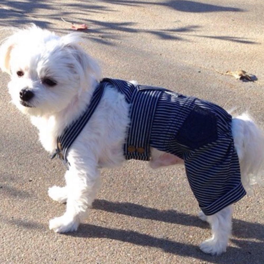 Blue and white overalls